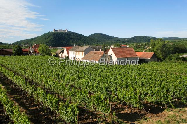 autriche krems 4.JPG - Abbaye de Göttweig et vignoble au sud de Krems, Vallée du Danube, Wachau, Basse-Autriche